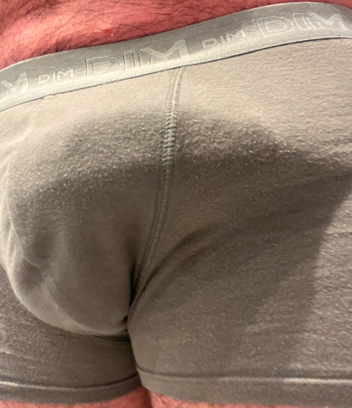 Profil von Plamedi